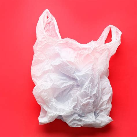are plaster bagworms harmful to humans